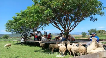 تفاصيل مثيرة حول رحلة ربيعية تمر عبر مناطق مشمسة وأخرى عاصفة تقلب التوقعات